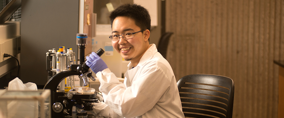 Tim Rei, a biological science major, works in the Vannette lab at UC Davis, allowing him to explore entomology and nematology, which spurred a deep appreciation for insects in him. Tim gained experience in community ecology and plant-associated microbial research as well as a fascination with cicadas.