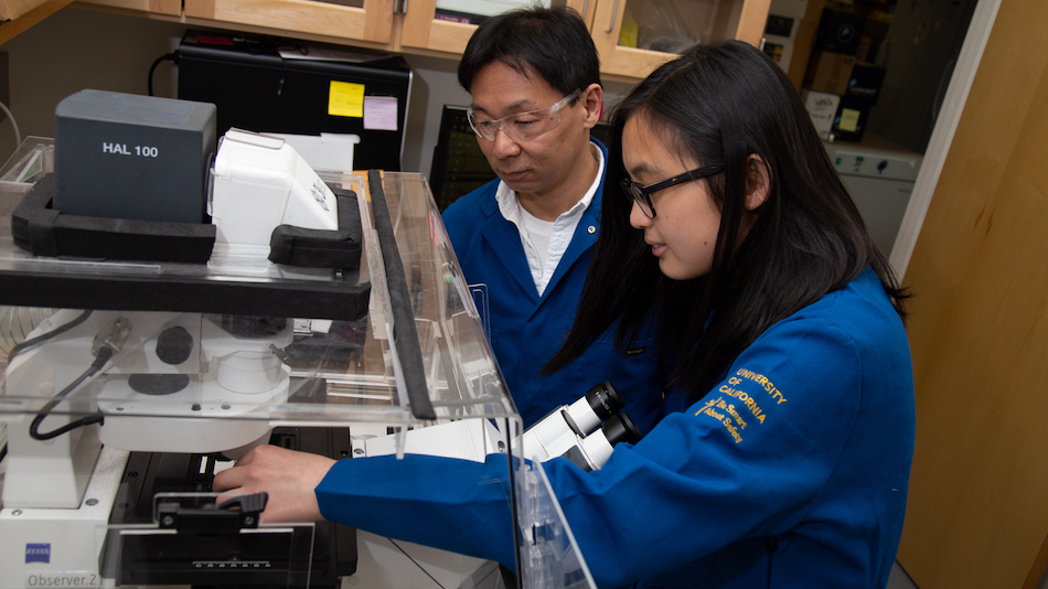 Cheah first met Yamada through the University Honors Program. David Slipher/UC Davis