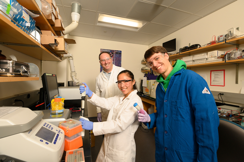 Associate professor Justin Siegel, Peishan Huang, a chemistry major, and  Ryan Caster, a master student and lab manager, are working on the new Food Valley, which is a Big Idea, on August 27, 2019.   