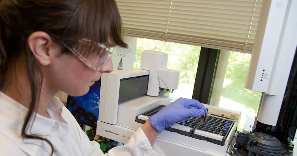 Hagelthorn has collected multiple awards for her dedication to research. In 2017, she was awarded the UC Davis Provost’s Undergraduate Fellowship and the American Society of Plant Biologists Summer Undergraduate Research Fellowship. David Slipher/UC Davis