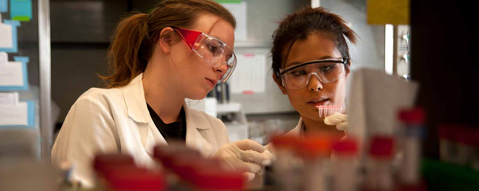 Two women in a lab