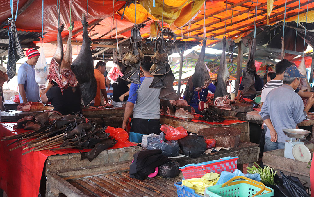 Bats in an Indonesian market