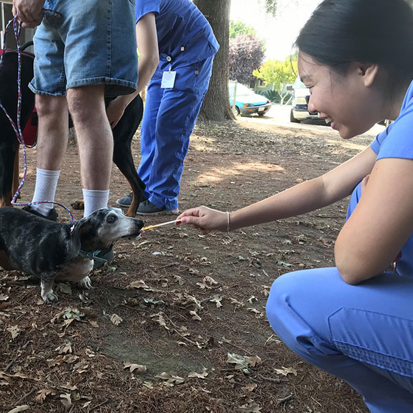 Knights Landing vet clinic