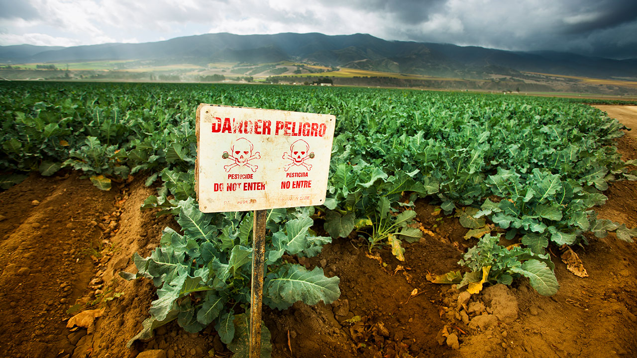 Sign posting on crop field