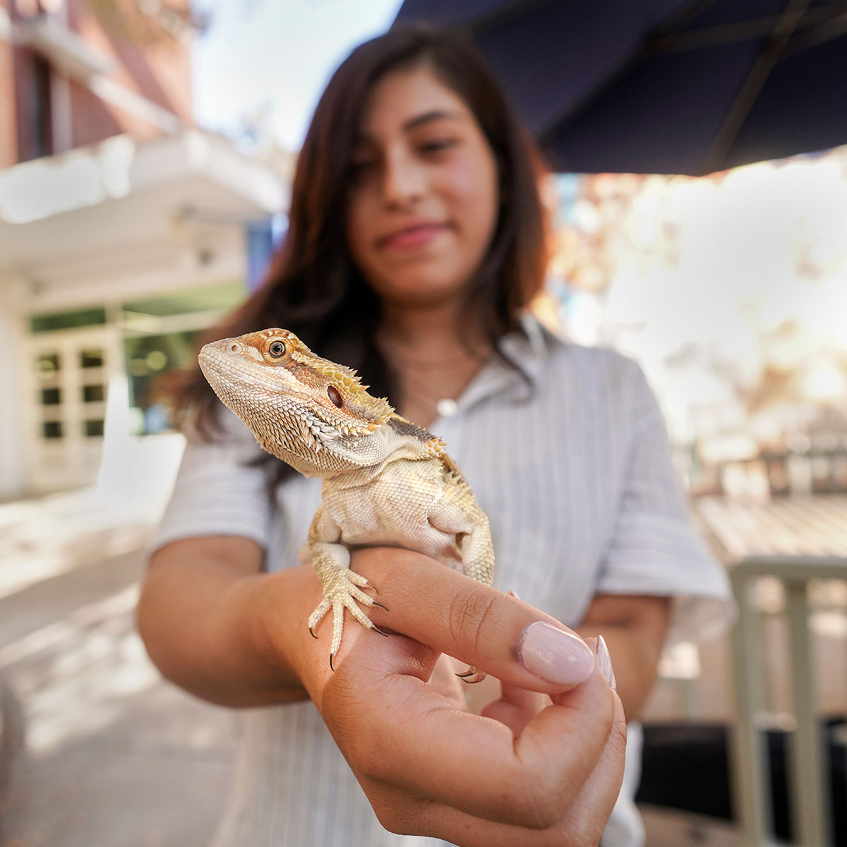 Walter the bearded dragon with Michelle Lagos