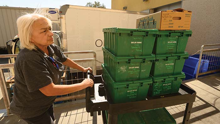 A woman loads boxes on a loading dock