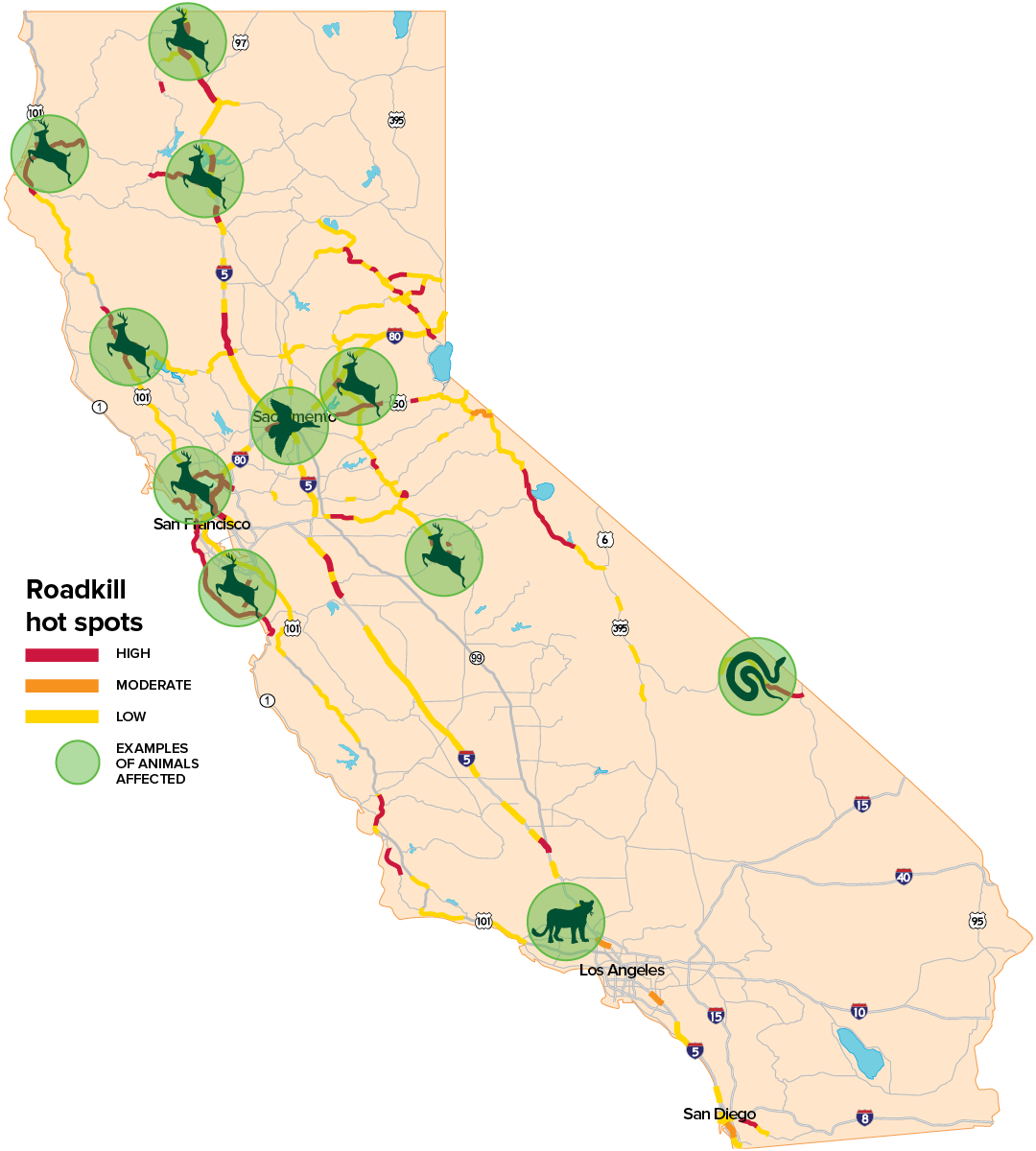 Illustration: map showing roadkill hotspots in California