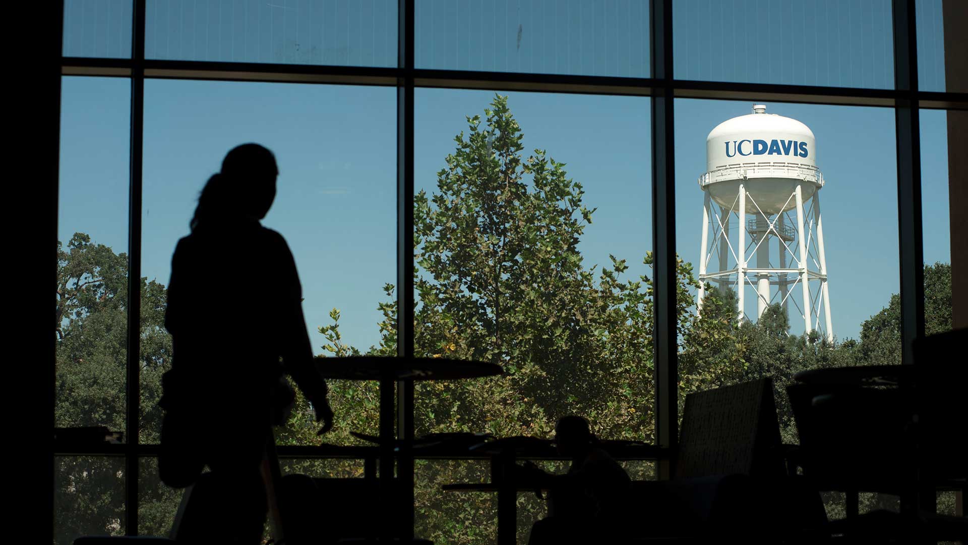 Photo looking out of a window to a UC Davis water tower. The window frames and a student are silhouetted against the blue sky, trees and tower outside.