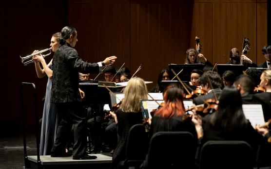 UC Davis Symphony Orchestra: “Musical Landscapes”