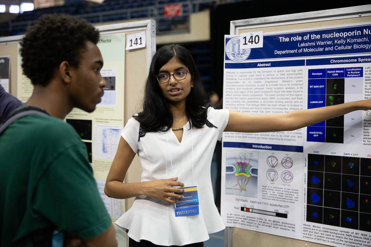 A student demonstrates her diorama to another student at UC Davis. 