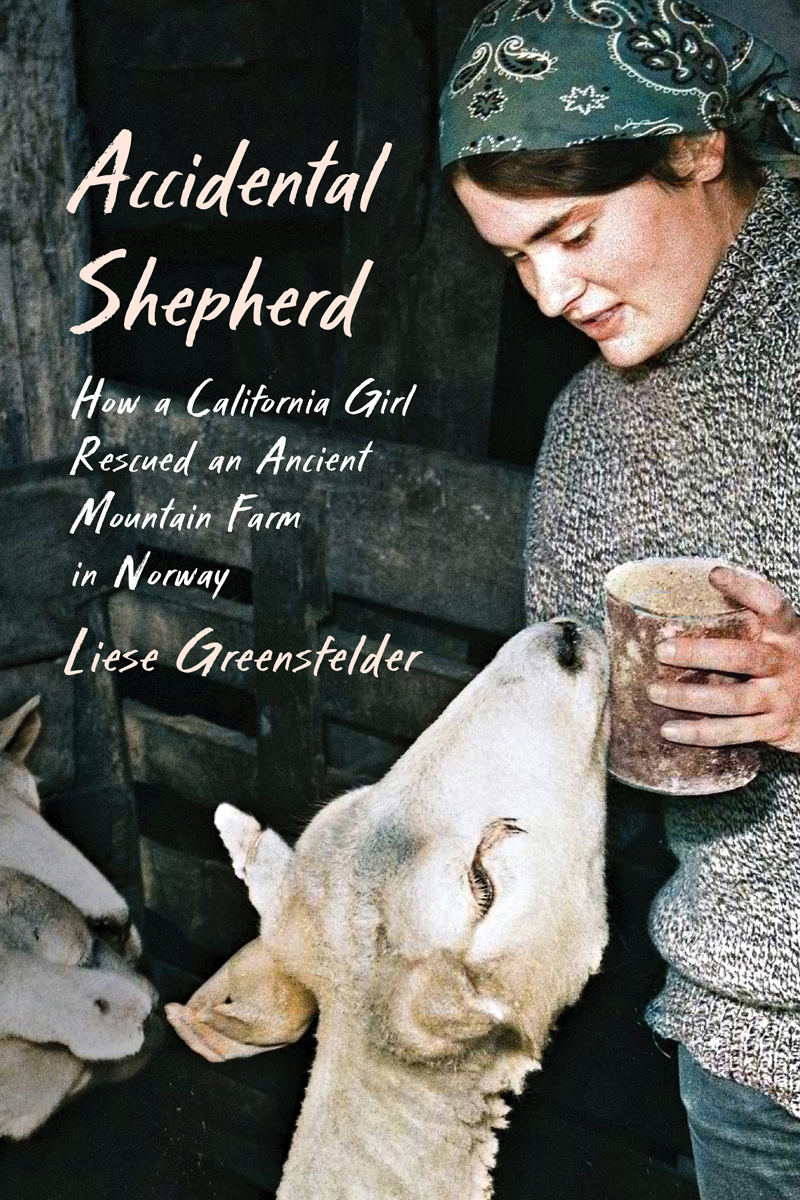 Book cover for Accidental Shepherd: How a California Girl Rescued an Ancient Mountain Farm in Norway features a young woman feeding sheep