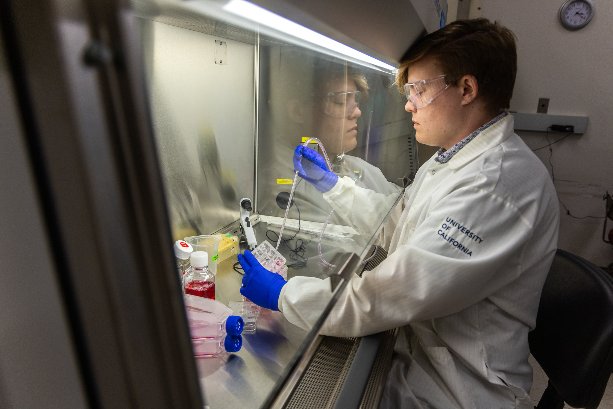 Eli Wooliever in white coat preparing a sample inside a biosafety hood, blue gloves, focused.