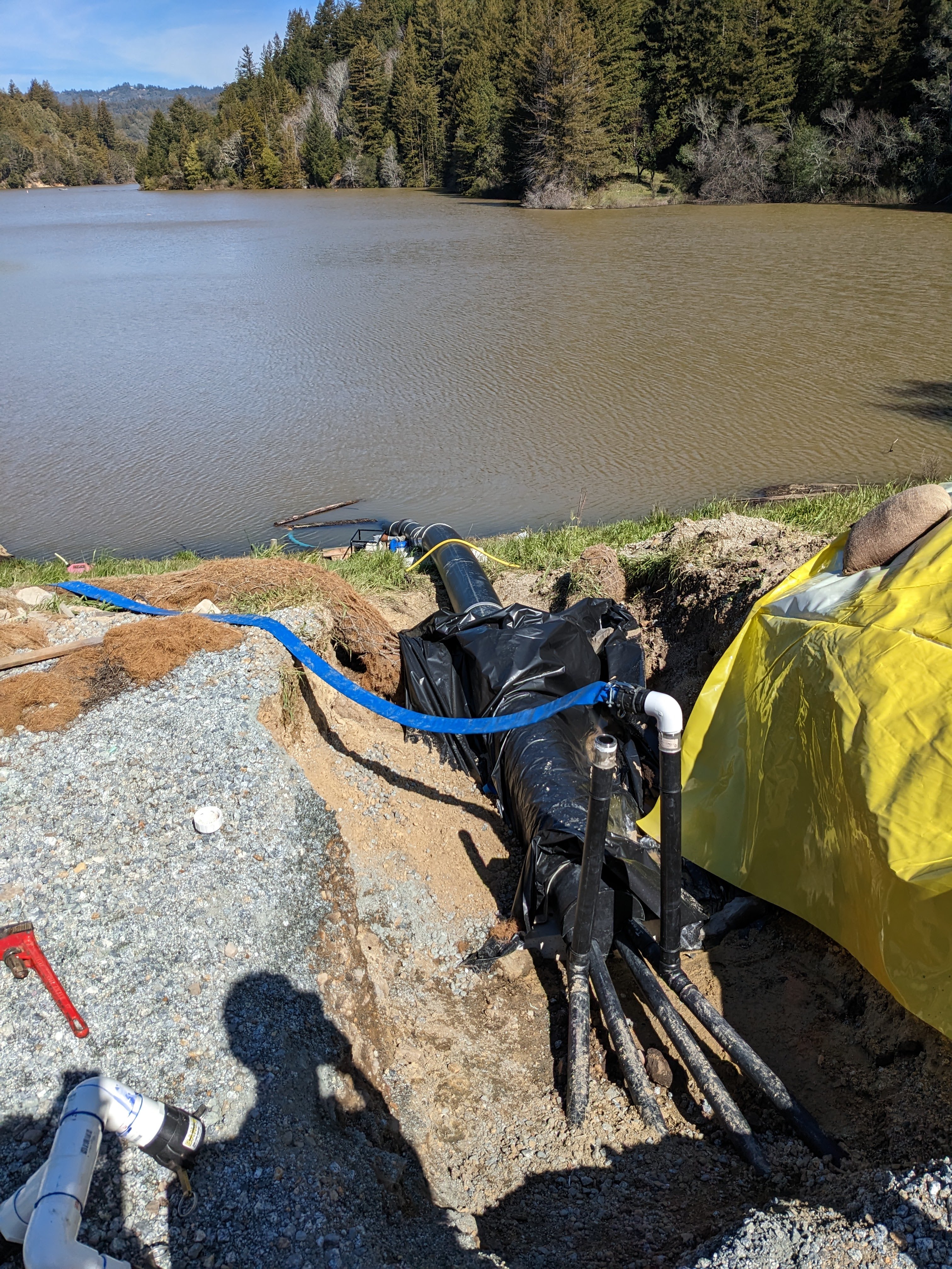 Black tubes enter brown waters of Loch Lomond in Santa Cruz as part of a hypolimnetic oxygenation system 