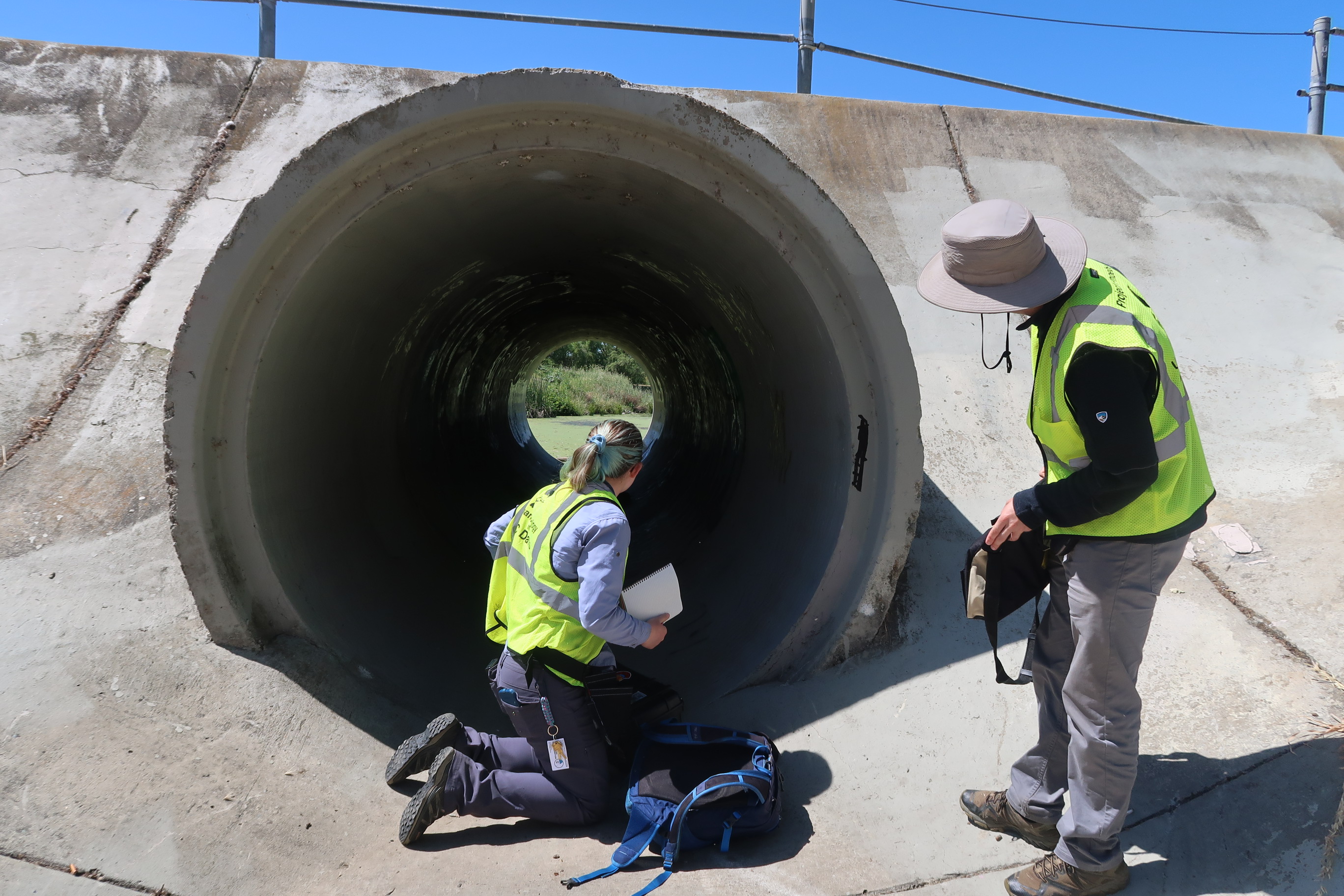 Sage Madden and Jacob Johnson look into a drain pipe with a nest at the back of it