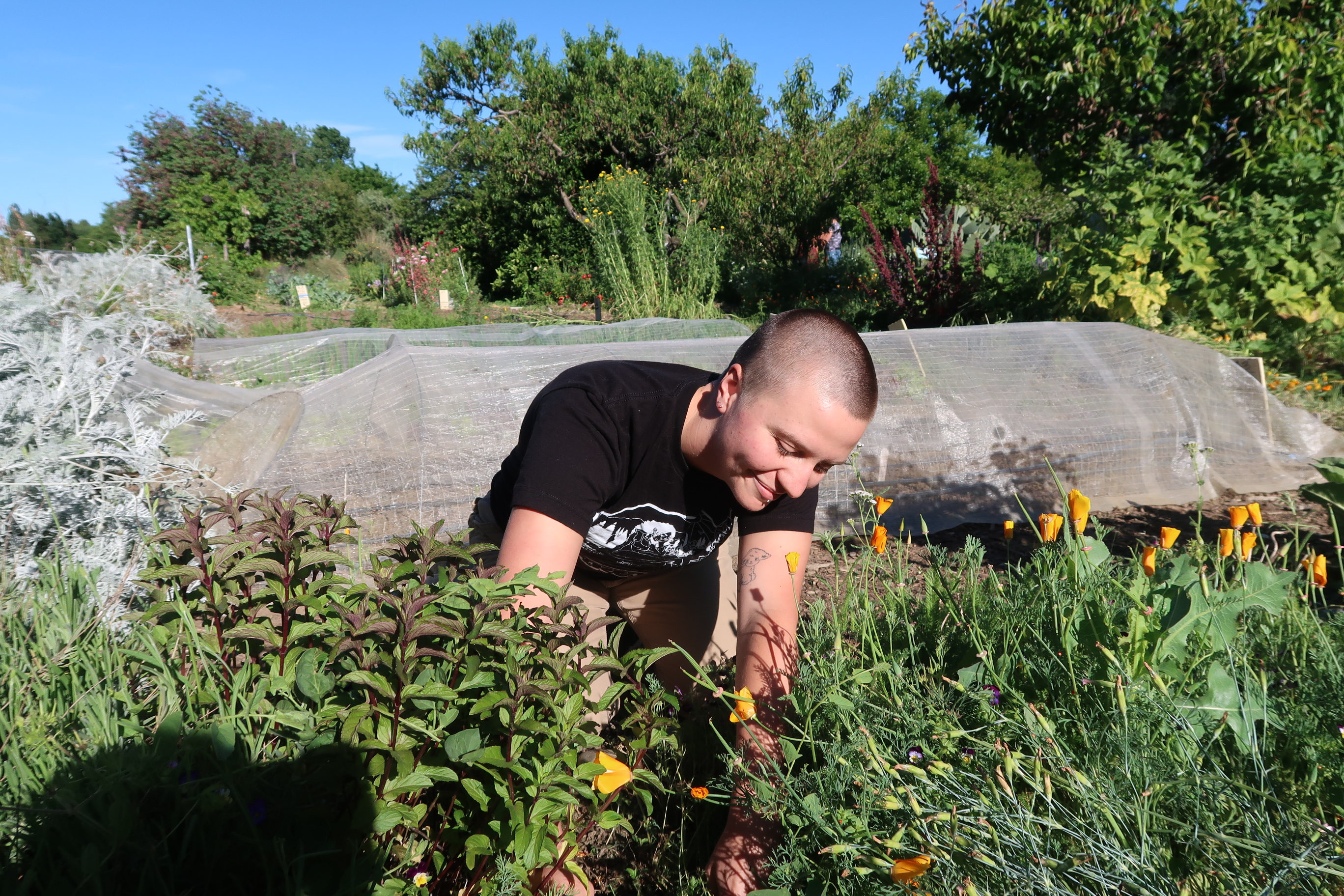 Ebb Burk working in the Queer Flower Garden