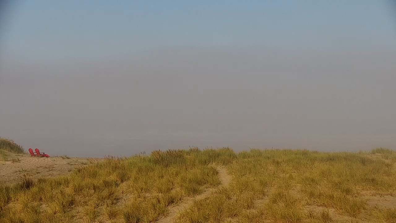 Sandy dunes with grasses and two distant red beach chairs under a foggy sky in Oregon