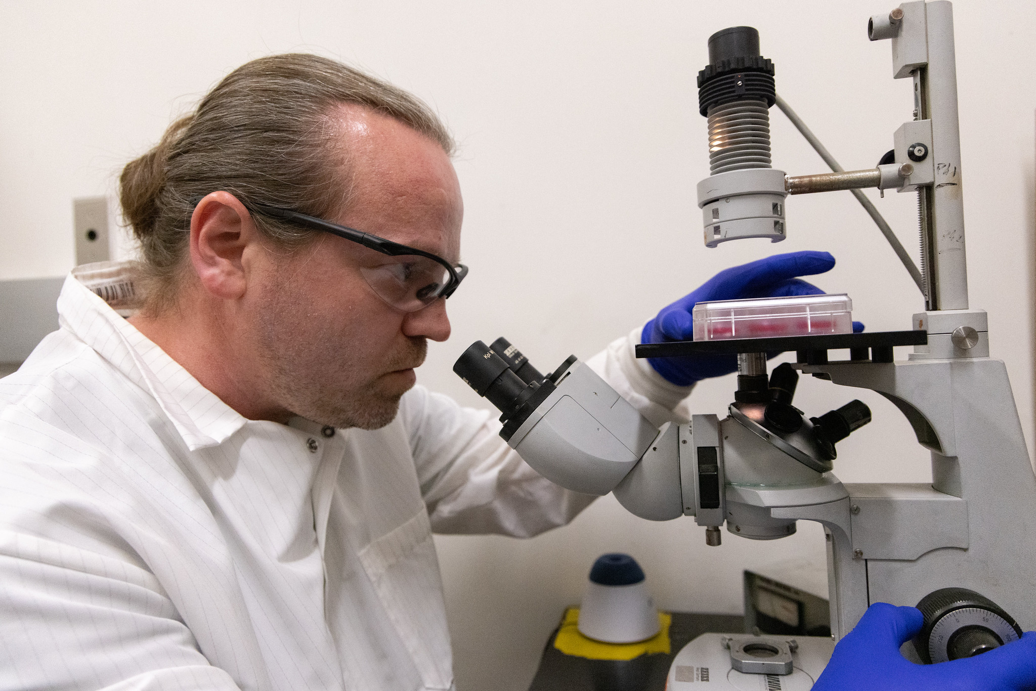 Sascha Nicklisch in white coat and safety glasses peers into microscope
