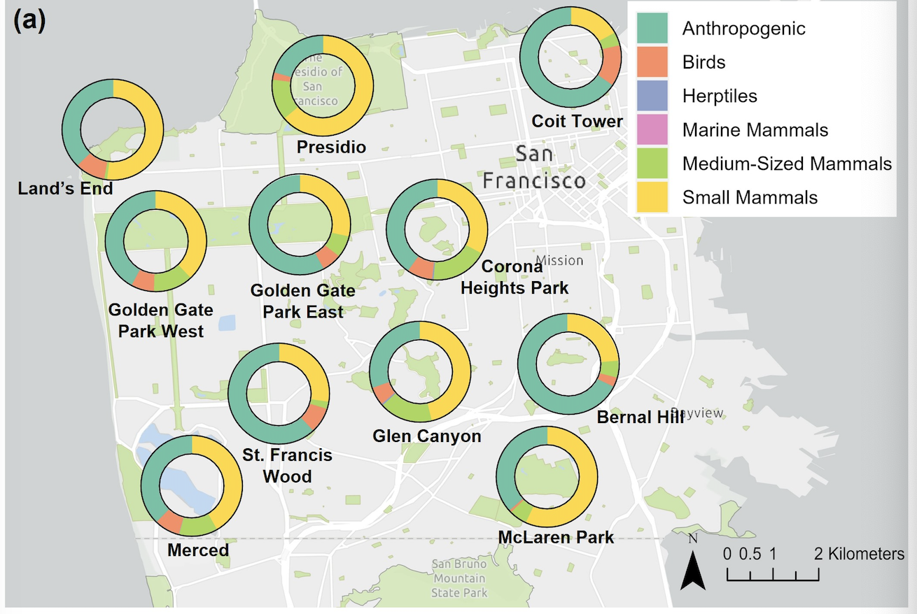 A map of San Francisco with circles representing coyote diets in different neighborhoods