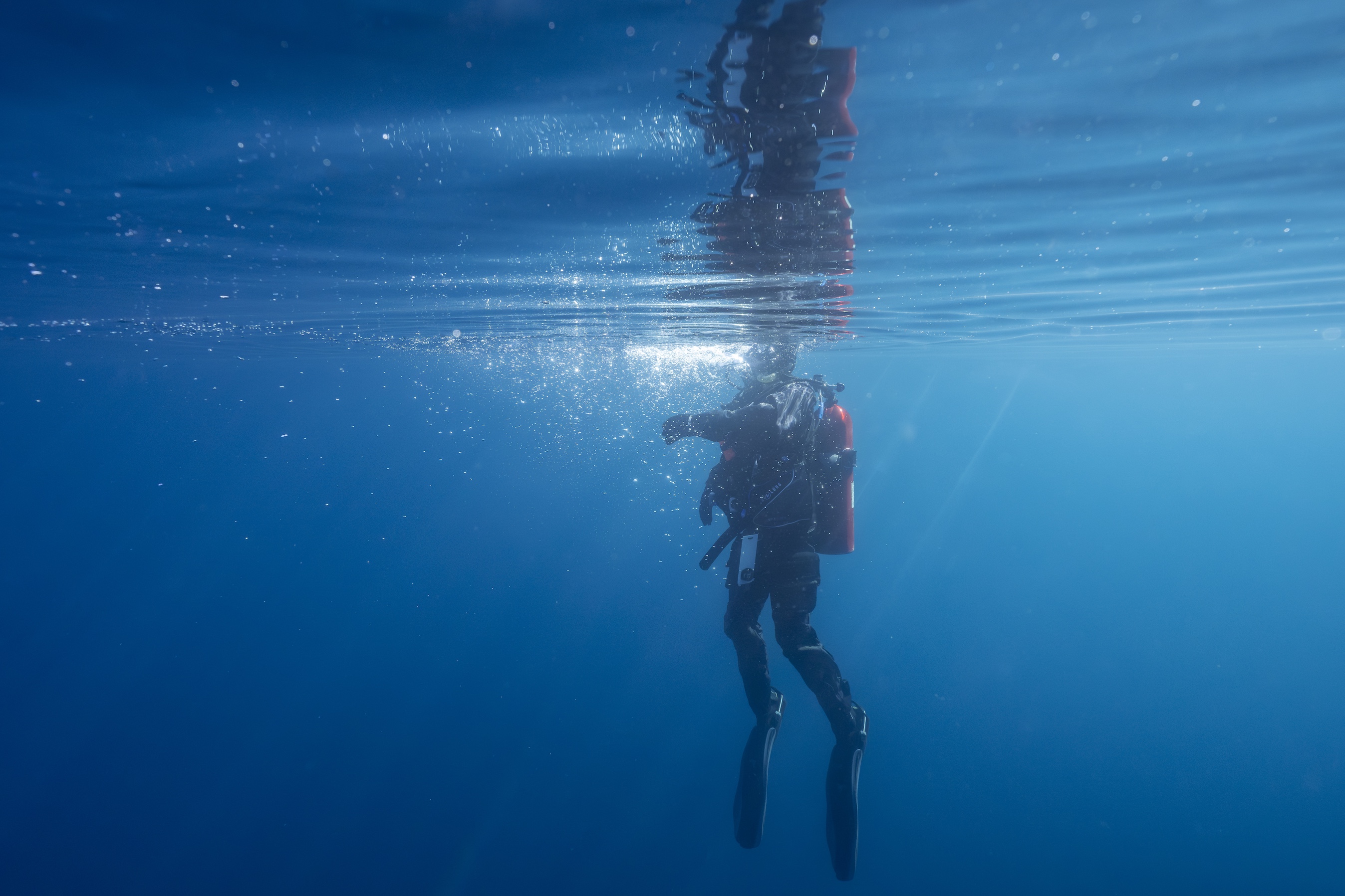 UC Davis scientist diving in wetsuit underwater in blue Lake Tahoe