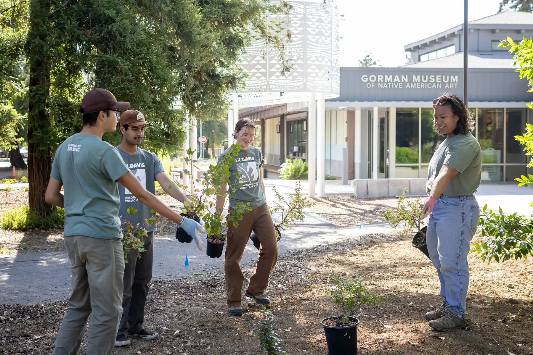 Four volunteers planting seedlings in a sunlit campus courtyard