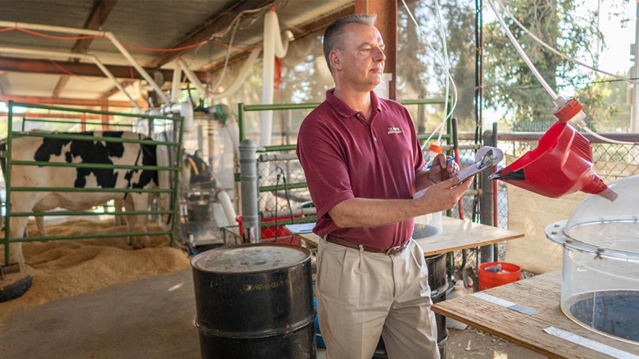 UC Davis Professor Frank Mitloehner