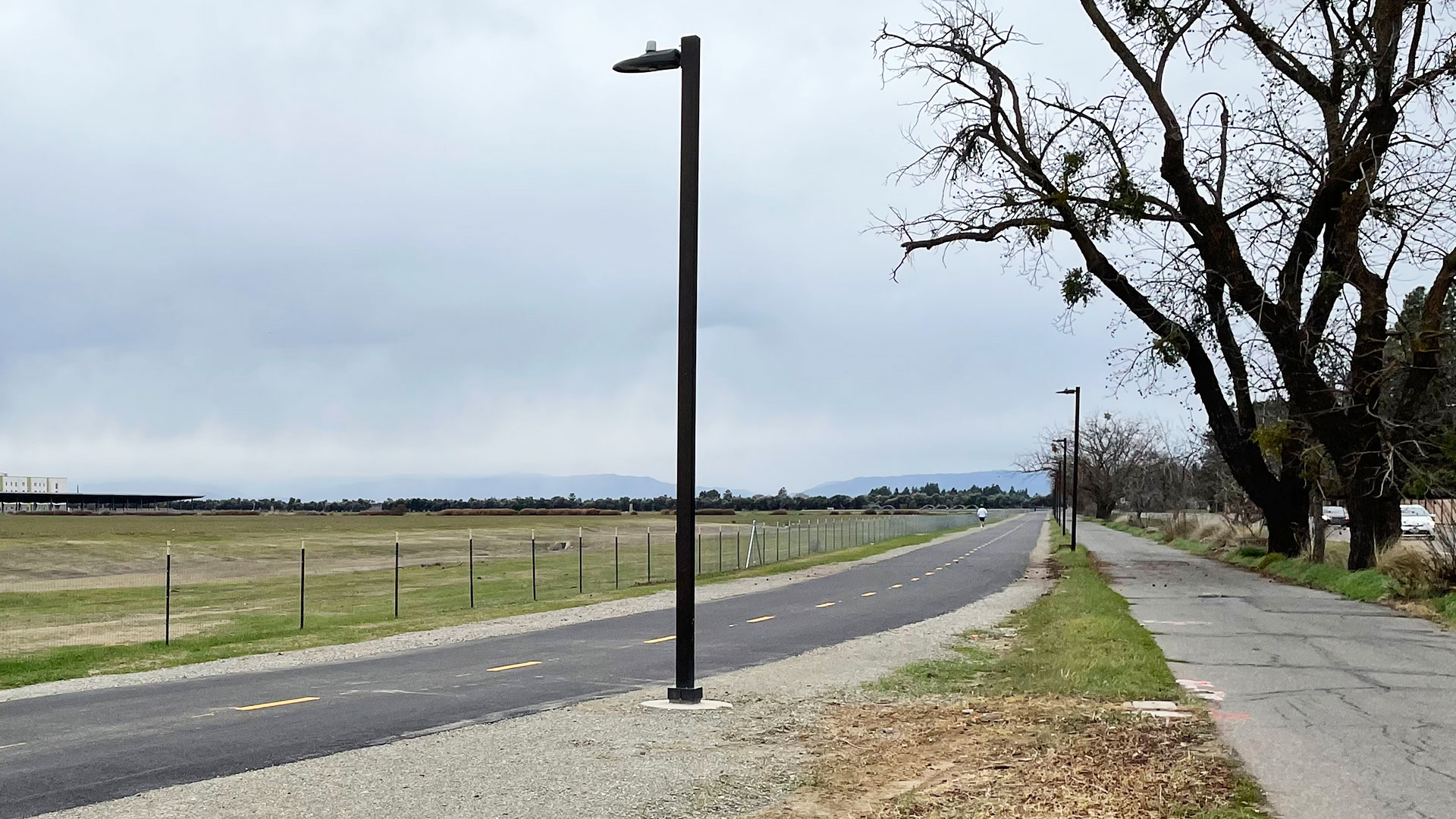 Photo of a bike path with a sidewalk on one side of it and fields on another. A leafless large tree stands nearby on a cloudy day.