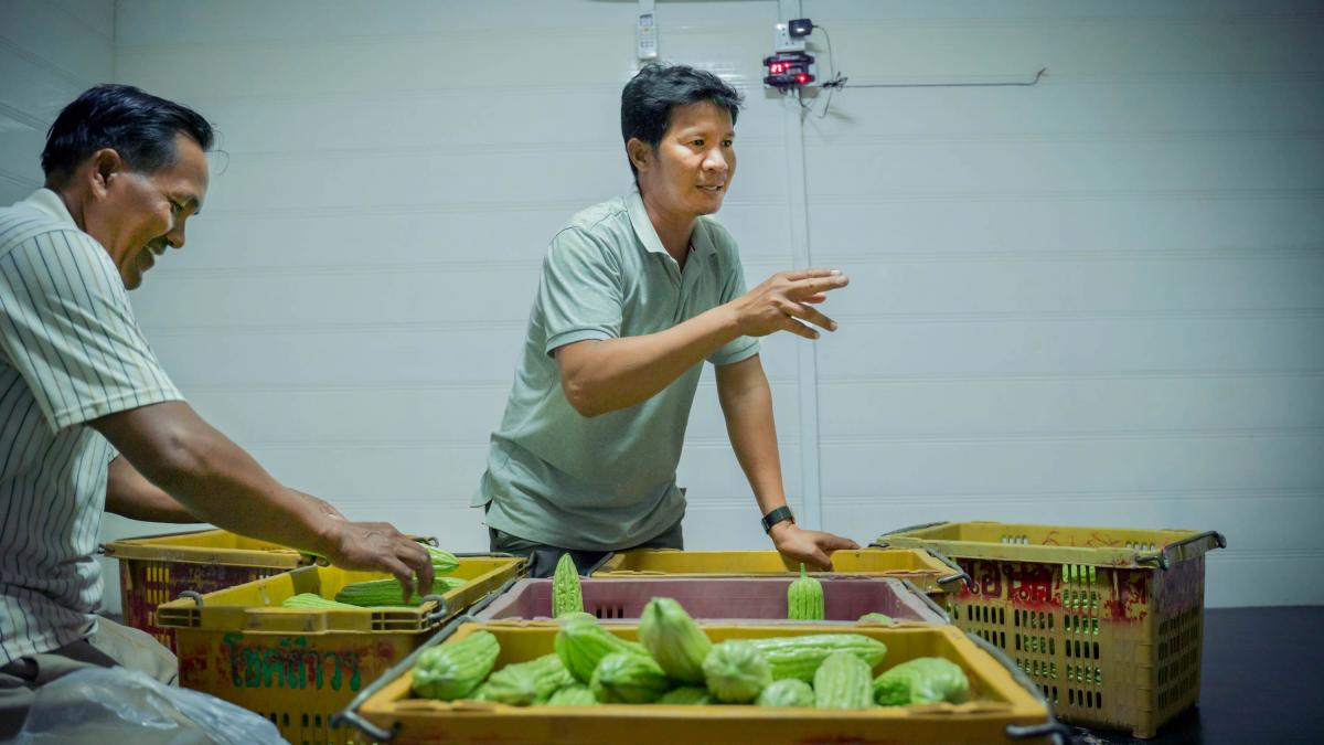 Cambodian farmers moving produce