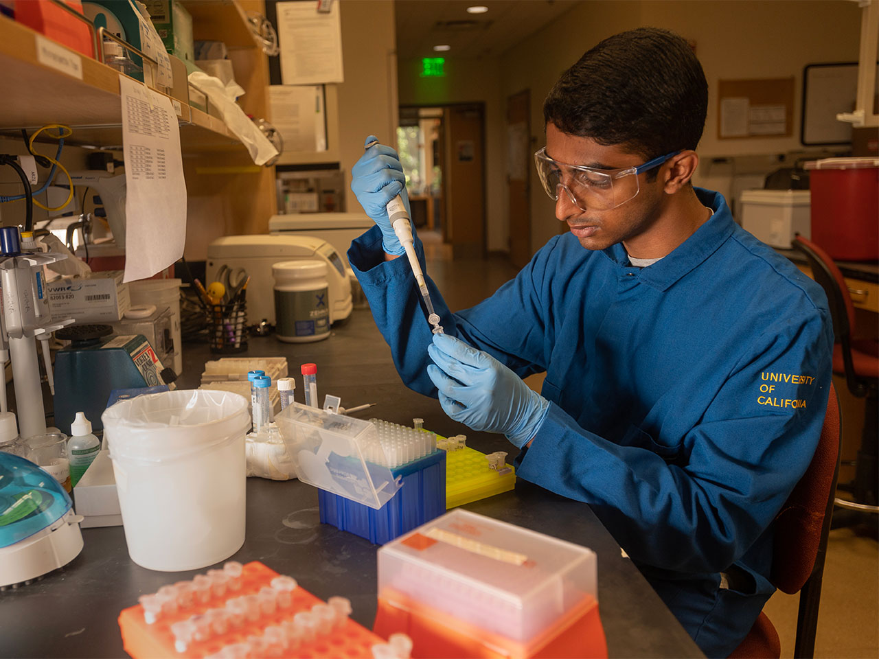 Neeraj Senthil, a dedicated university medalist, is engrossed in lab work, exemplifying his commitment to science and education at UC Davis.