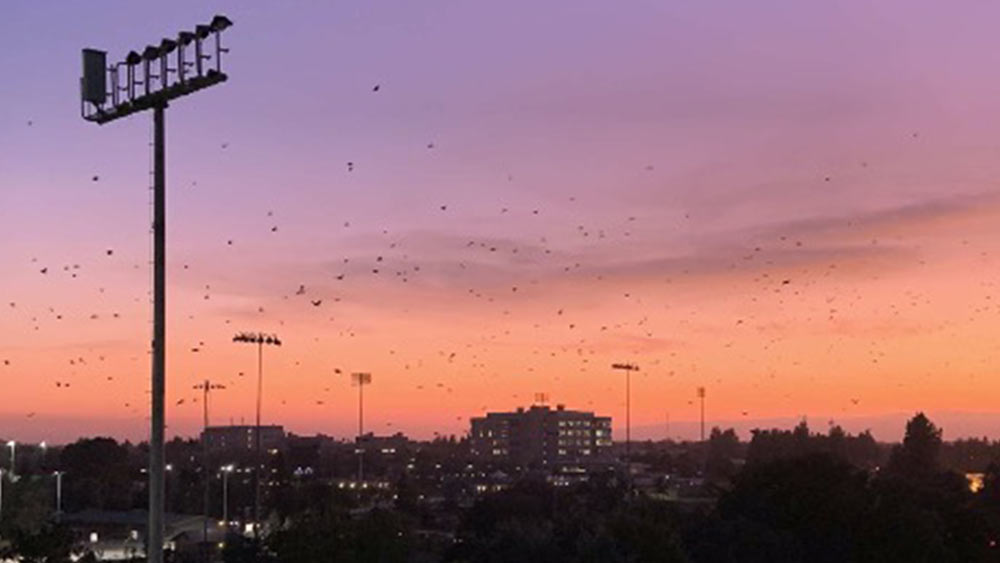 hutchinson parking garage at evening