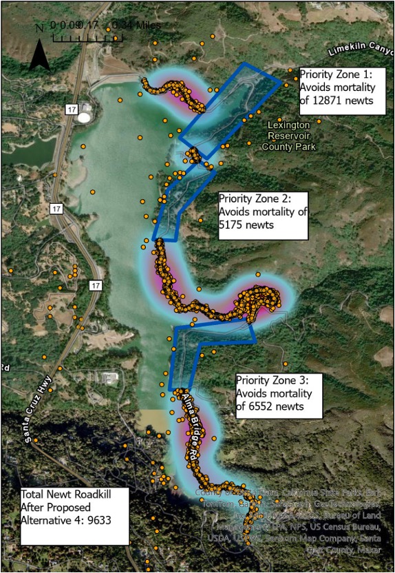 Map of newt mortality by vehicle on Alma Bridge Road and a proposed plan to save them from becoming roadkill