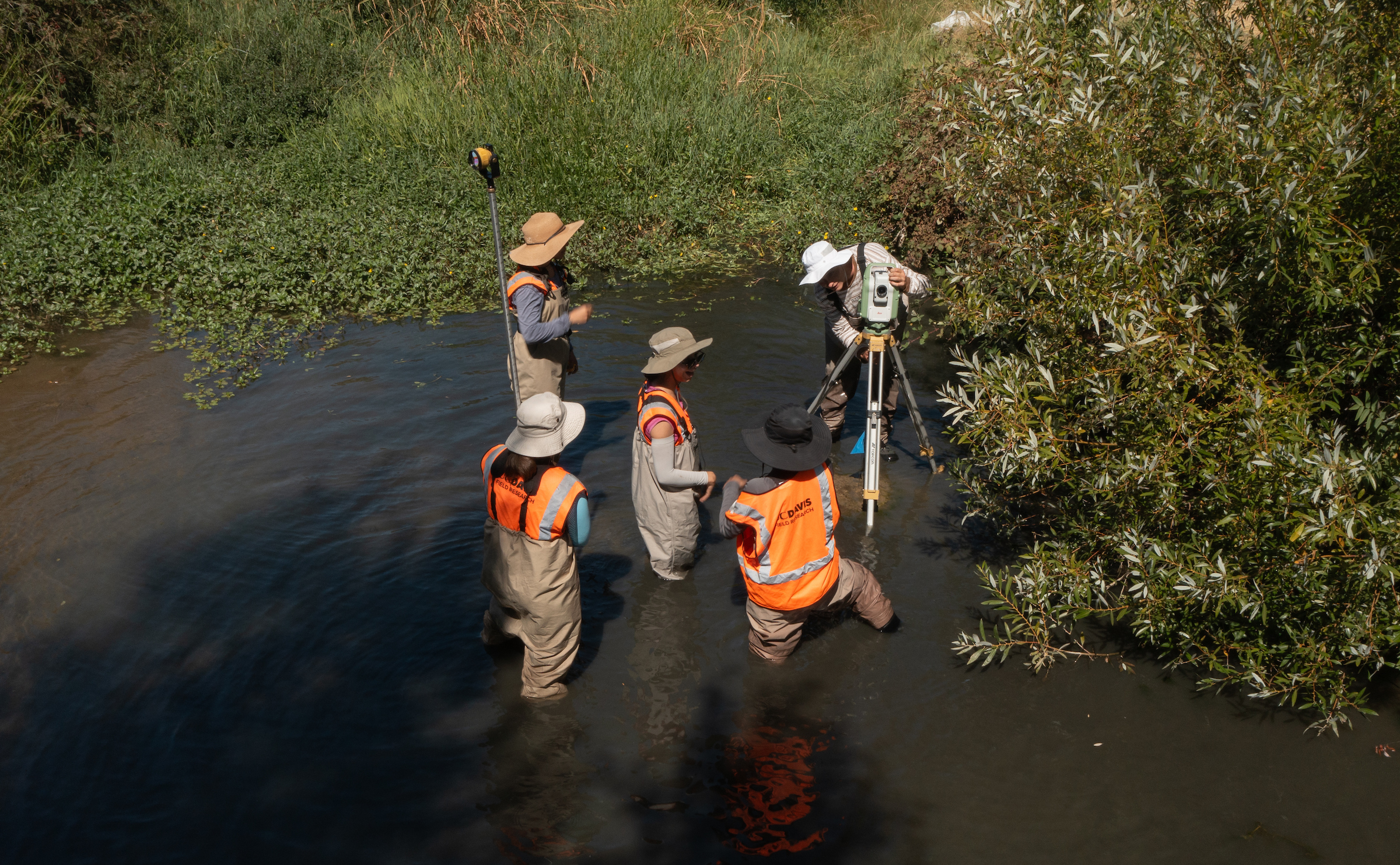 UC Davis researchers photographed from above a creek conduct a stream survey in the water wearing bright orange vests