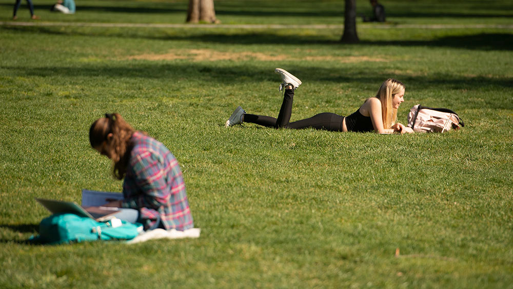 students study on uc davis quad