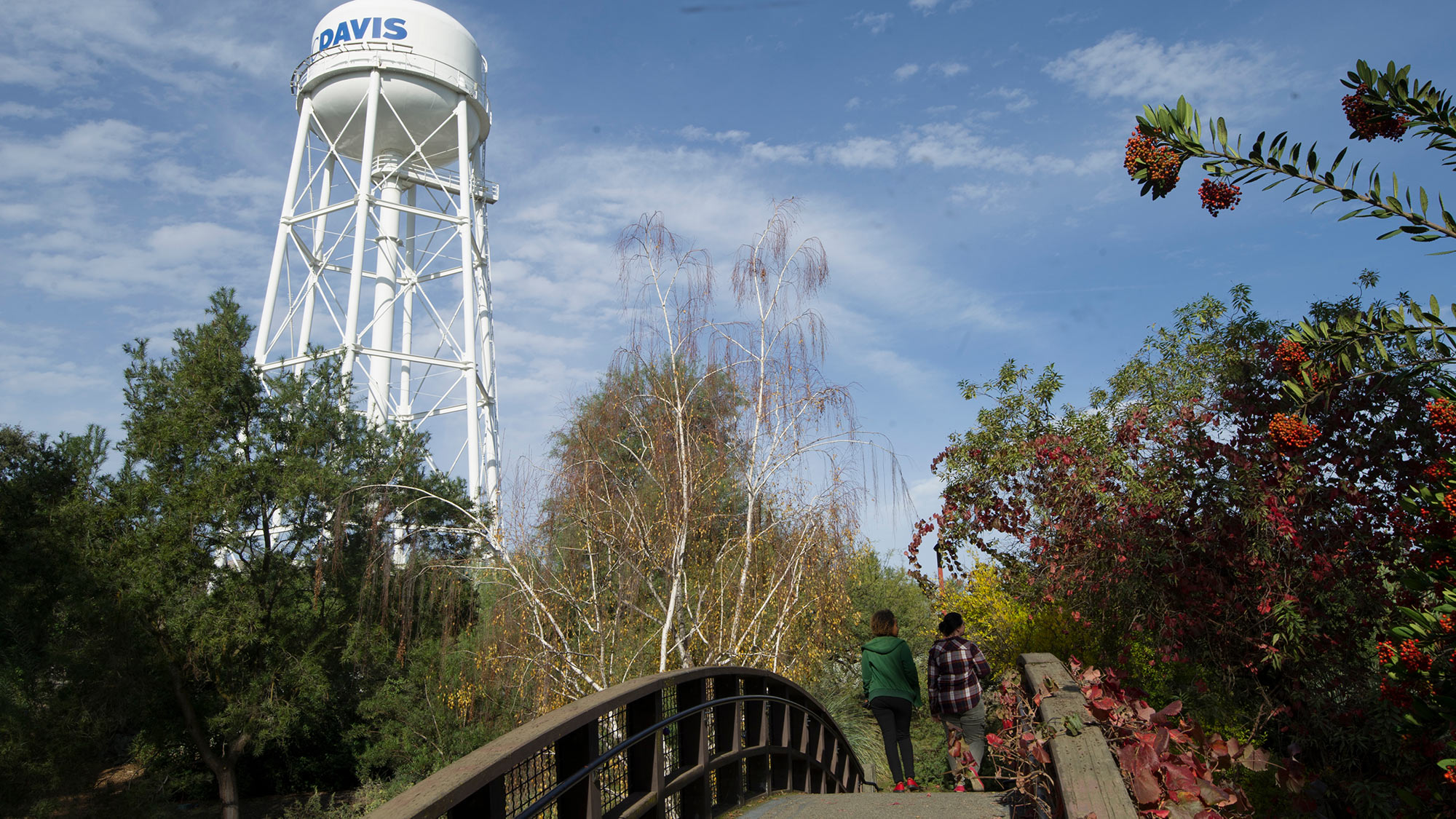 students walk uc davis water tower background