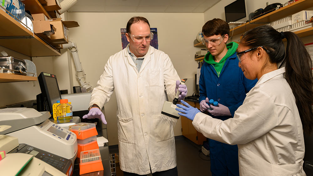 professor and students work on food experiment