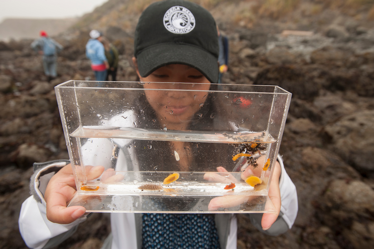 A student holds a bowl of fish at Bodega Bay UC Davis. 