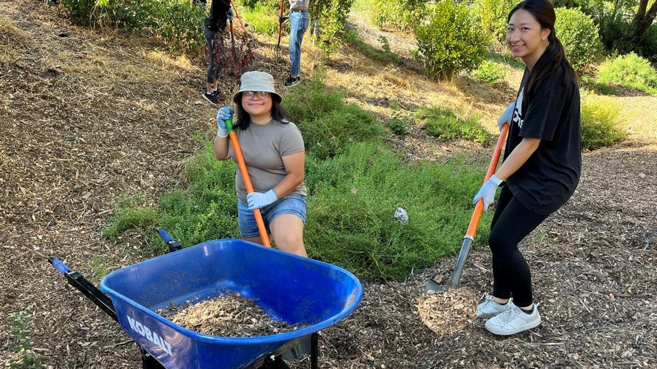 Two people gardening with shovels in hand and a blue wheelbarrow 
