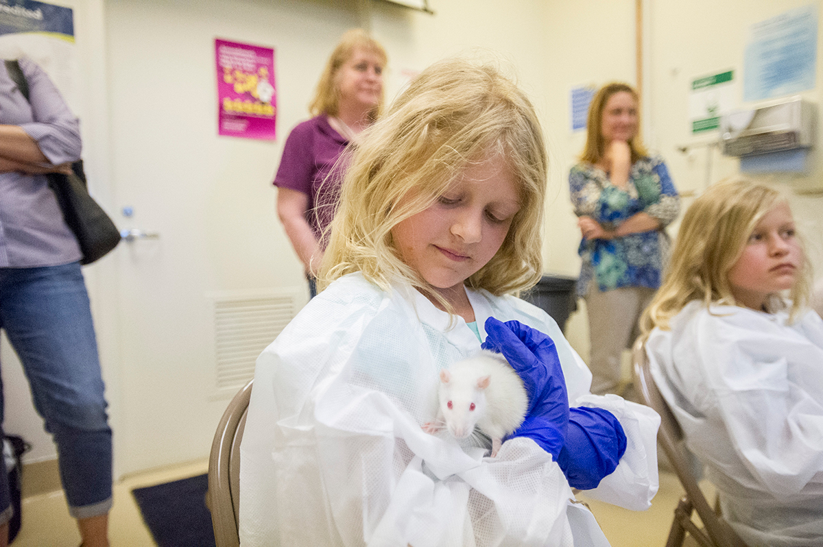 Photo of a child holding a rat.