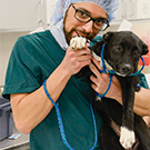 Man in scrubs with dog.