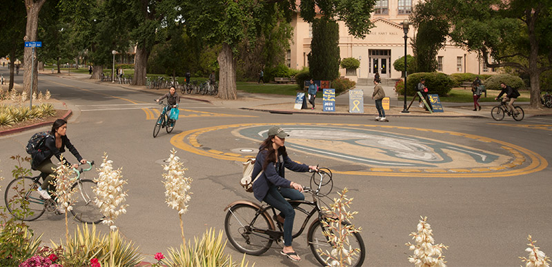 Bicyclists in a bike circle