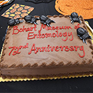 A cake decorated with fake bugs