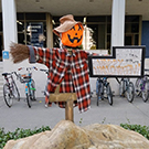 A scarecrow on the UC Davis campus