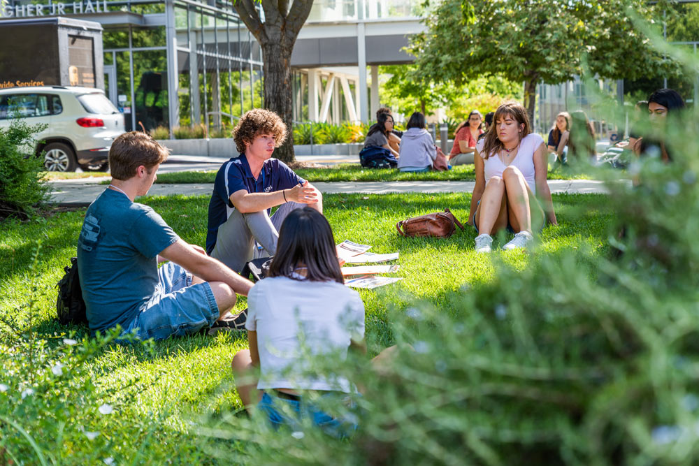 New students, on the grass, socilaizing.