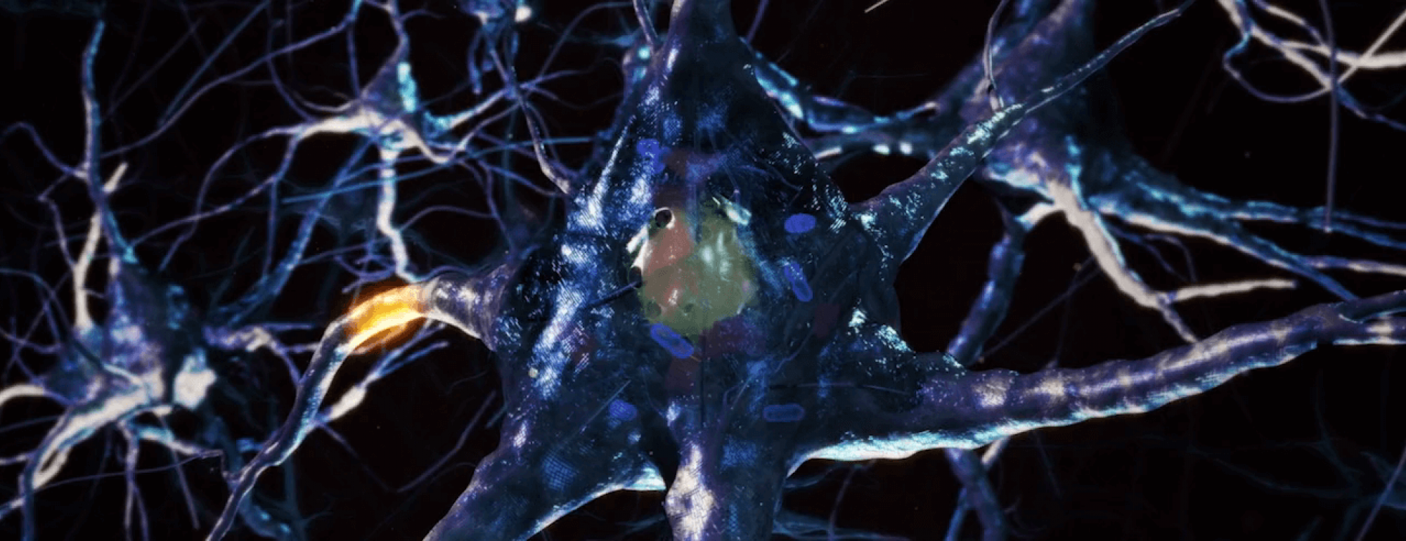 molecules of the mind