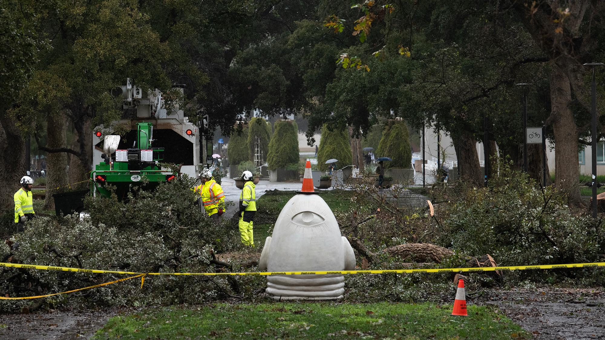 A wide shot of people in construction gear (bright yellow jackets with orange stripes and white safety helmets) surrounding fallen trees and a large white and green truck on a gloomy day. In the center of the scene is the Eye on Mrak Egghead sculpture with an orange safety cone on top, accentuating its one large eye. Caution tape surrounds the area, and the streets and pavement are wet from the previous day's storm.