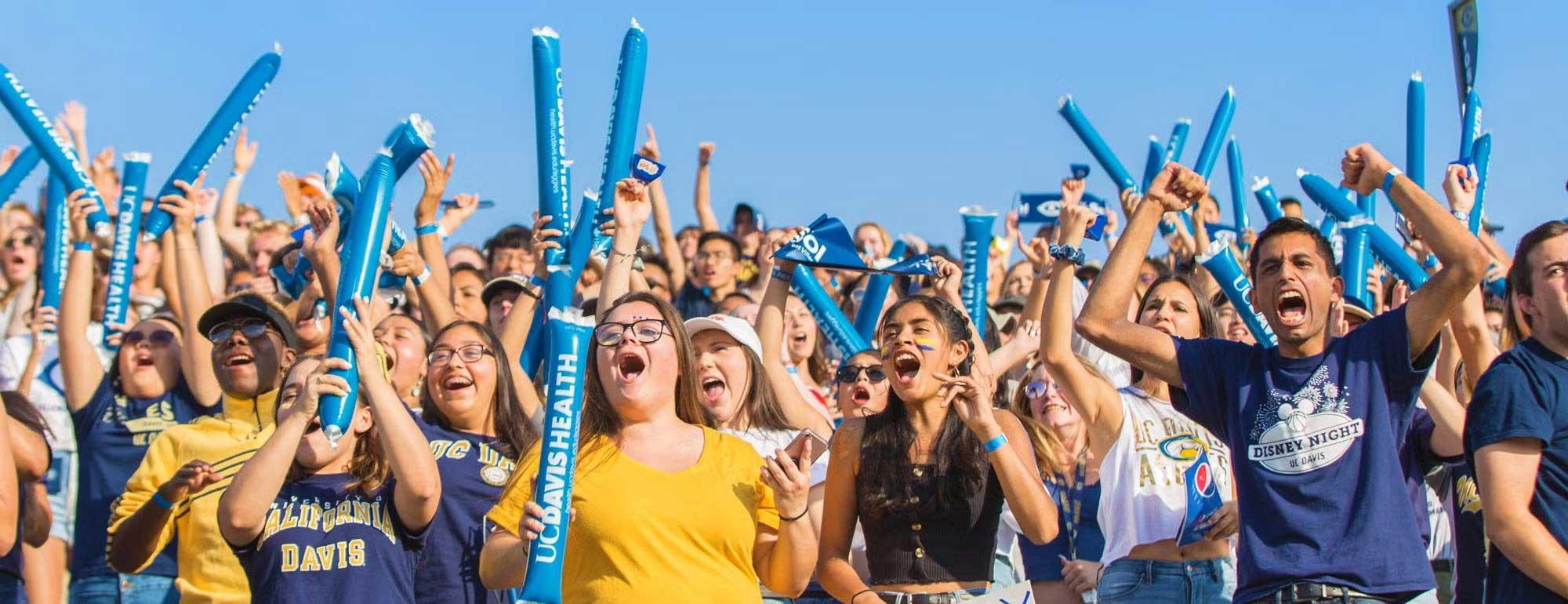 Crowd of spectators getting excited watching a football game