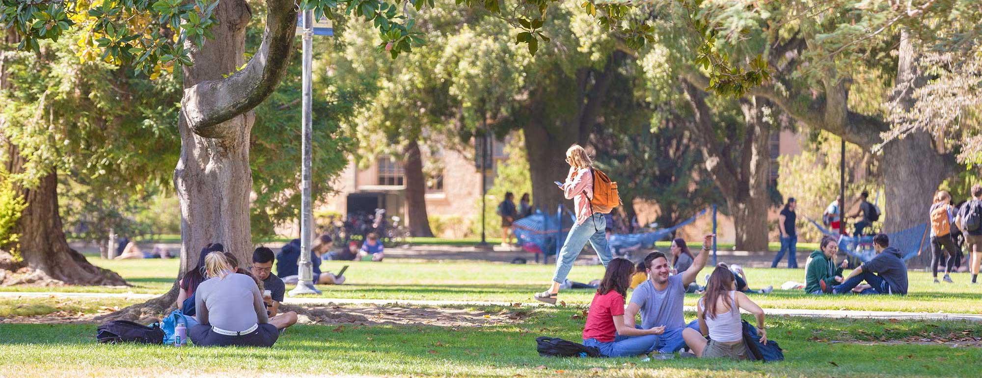 Students sitting on a lawn enjoying the weather 