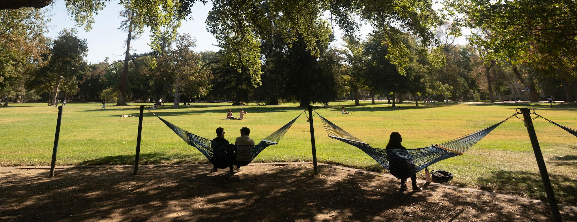 A view of students lounging in the hammocks next to the UC Davis quad