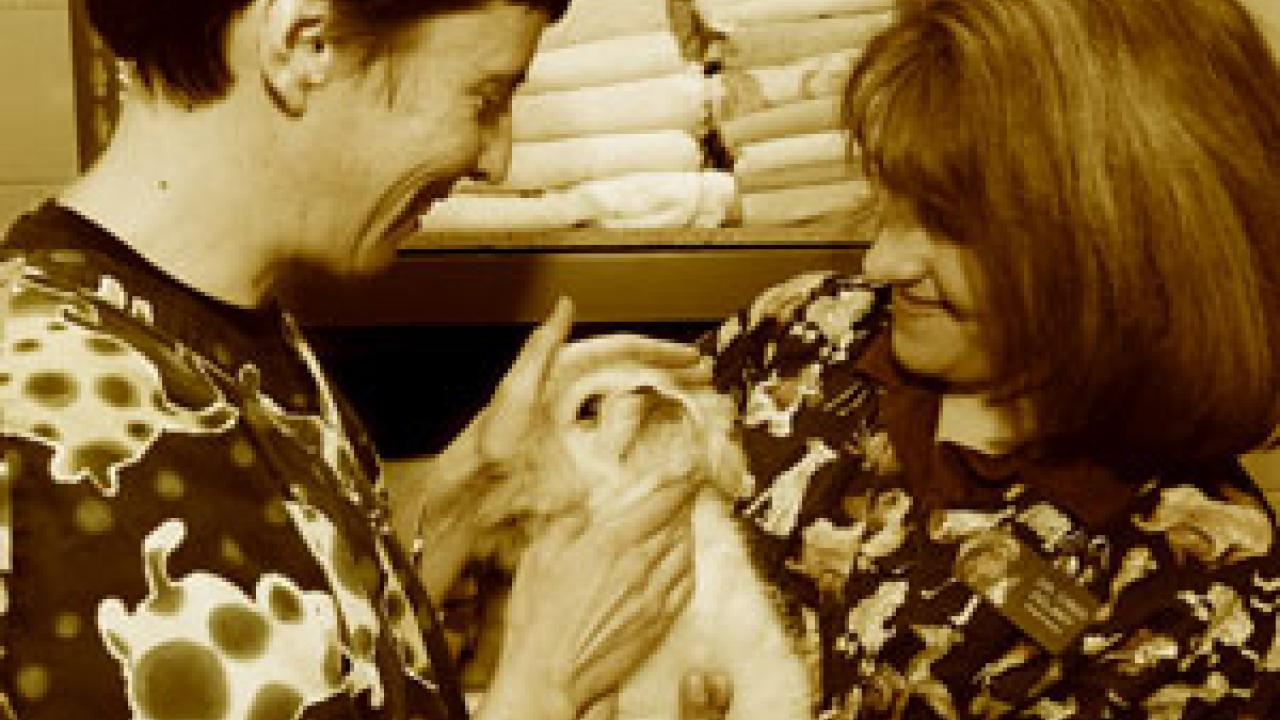 Shelter medicine director Kate Hurley, left, advises veterinarian Cindi Delany on the condition of a puppy at the Sacramento County  shelter.