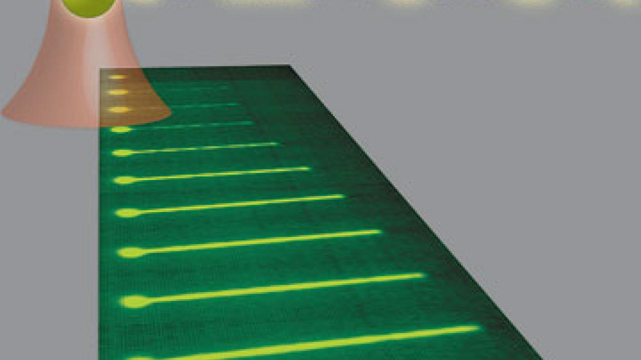 This schematic depicts molecules of the DNA repair protein, Rad51 (green ovals), assembling into a filament on an optically trapped DNA molecule. Below, a series of images shows a fluorescently labeled Rad51/DNA filament growing progressively lo