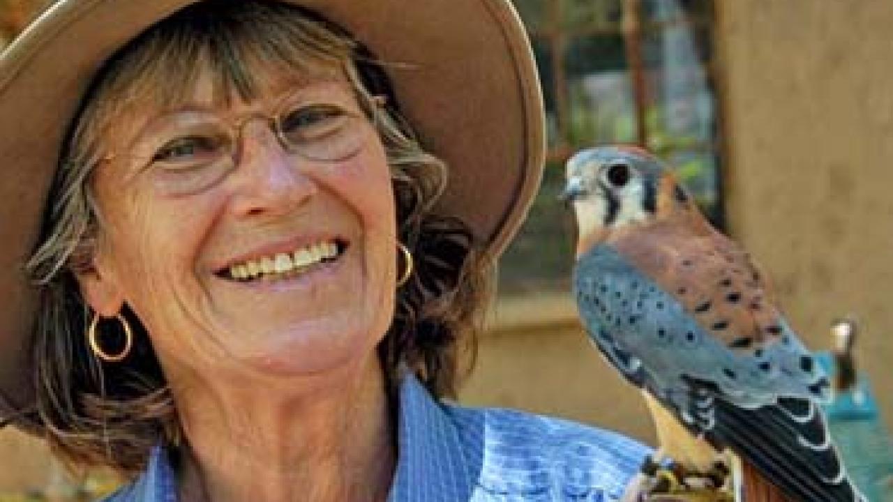 Christine Adams and Spar, an American kestrel, a small falcon.